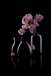 Mörka vaser, rosa blommor