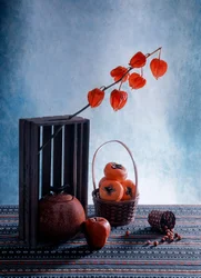 Frukter