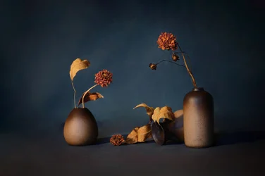 Stämningsfulla torkade blommor
