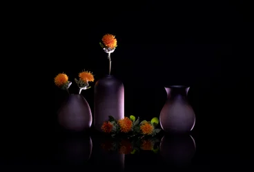 Stilleben med orange blommor
