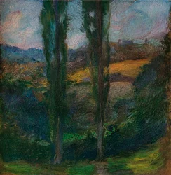 Poplar Normandie, c1905