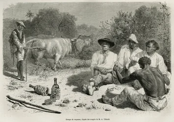 En grupp vaqueros som spelar kort och dricker alkohol, nära sina oxhjordar, graverade efter en teckning av G.Vuillier, för att illustrera historien De Cayenne aux Andes, av Jules Crevaux, doktor vid den franska flottan, 1878-1879, publicerad i tour du mon