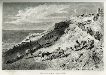 Akabah eller rada upp kameler från karavanen. Gravyr av G. Vuillier, för att illustrera berättelsen "" pelerinage au Nedjed, den arabiska rasens vagga", av Lady Anna Blunt, 1878-1879, publicerad i Tour du monde, under ledning av Edouard Charton (1807- 1