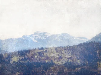 Misty Mountain-skogen