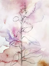 Rosa akvarellmålning med botaniska motiv