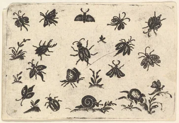 Små motiv av insekter och växter, 1596.