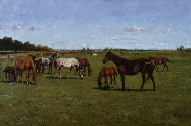 Ston och föl, 1917