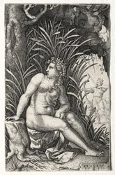 procris