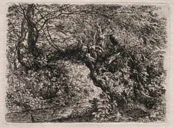 Den gamla pilen vid en bäck, 1794.