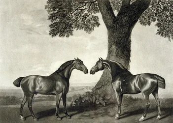 Två jägare, graverade av G.T. Stubbs (bap.1748-c.1815) (litho) (se även 266802)