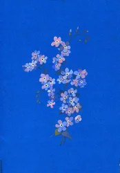 Förgätmigej, 1960-talet (gouache på färgat kort)