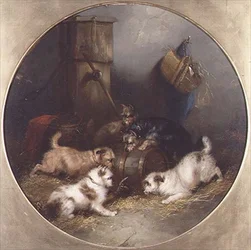 Terrier som råttor i en lada
