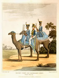 Raketkår och Dromedarkår, Bengalarmén 1817, från "Journal of a Route Across India and Through Egypt", graverad av R. Havell och Son, pub. av John Murray, 1819