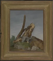 Study of Rocks and Branches, c.1795 (olja på papper)
