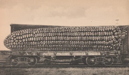 En billast av Texas Corn, ca. 1910.