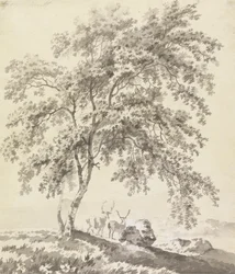 Trädstudie med stags (landskap)
