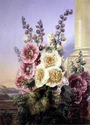 stockrosor (litho i färg)