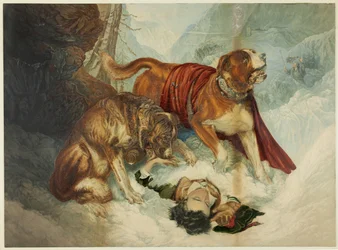 Hundarna i St. Bernard