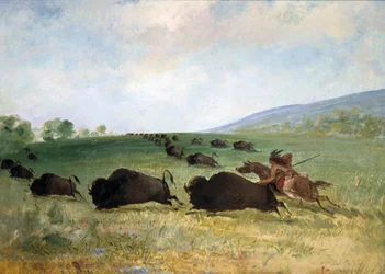 En Osage-indian som lårar en buffel