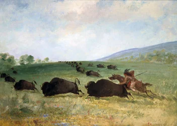 En indian från Osage som lanserar en buffel, 1846-1848.