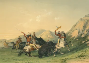 Att attackera Grizzlybjörnen