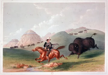 Bison Hunt in North America - litografi av Georges Catlin
