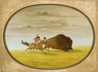 Bisonjakt