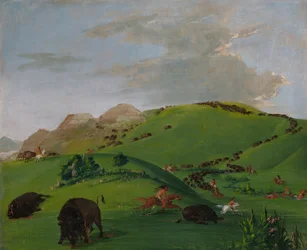 Buffalo Chase, Yellowstone-flodens mynning