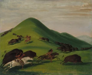 Buffalo Chase över Prairie Bluffs
