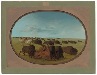 Buffalo Chase, med olyckor