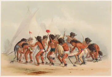 Bisonsdans