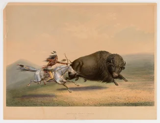 Buffeljakt, Chase... nr. 5