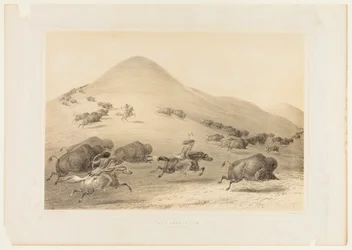 Buffalo Hunt, Chase - nr 6