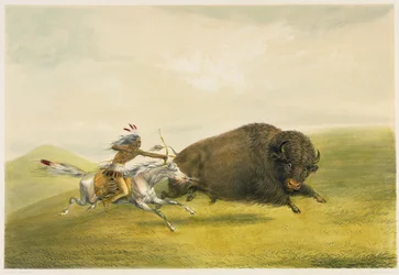 Buffalo Hunt Chase (färglitografi)