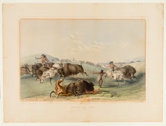 Buffalo Hunt, Chase nr 7