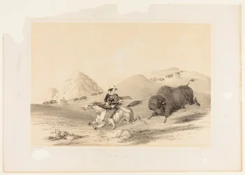 Buffalo Hunt Chasing Back nr. 12