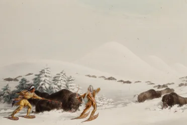 Buffeljakt på snöskor