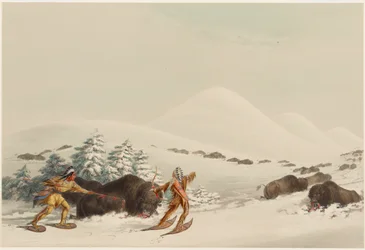 Bisonjakt på snöskor