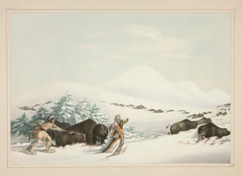 Buffeljakt, på snöskor, pl. 15 från North American Indian Portfolio