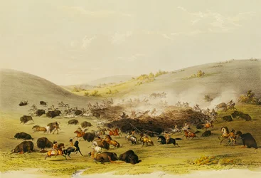 Buffalo Hunt, Surround, ca 1832