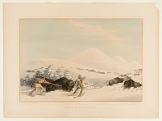Buffeljakt på snöskor - nr 15