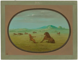 Fånga vilda hästar - Pawnee