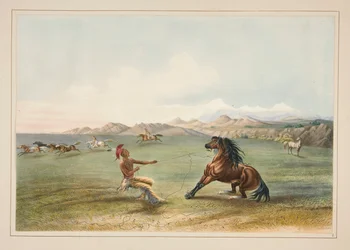 Att fånga vildhästen, pl. 4 från North American Indian Portfolio