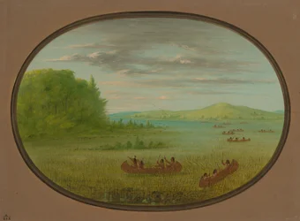 Samla vildris - Winnebago, 18611869.