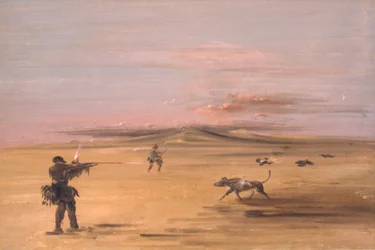 Jakt på skogshöns på Missouris prärier, 1837-1839.