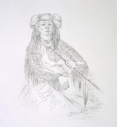 Ha-wan-je-tah (Det enda hornet) 1852