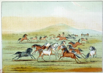 Indians of America: vilda hästar jagade av indianer. Illustration av George Catlin (1794-1872)