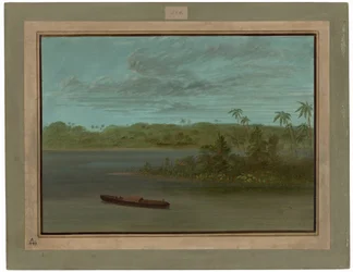 Rio Purus mynning