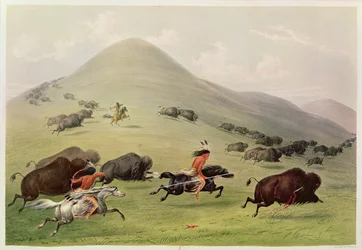 Buffeljakten, cirka 1832