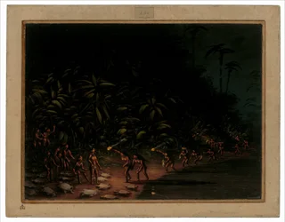 Sköldpaddsjakt, 18541869.